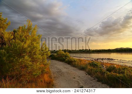 Morning At The Salt Lake / Summer Landscape