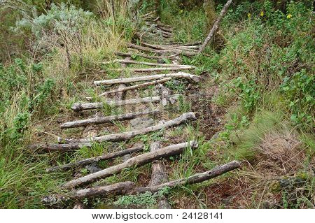 Path To The Top Of Muhavara Vulcano