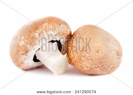 Two Champignon  Mashrooms Isolated On White Background.