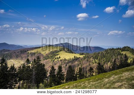 View Of Landscape Of The Carpathian Mountains From Peak Of Parashka Mount, National Park Skolevski B