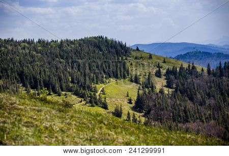View Of Landscape Of The Carpathian Mountains From Peak Of Parashka Mount, National Park Skolevski B