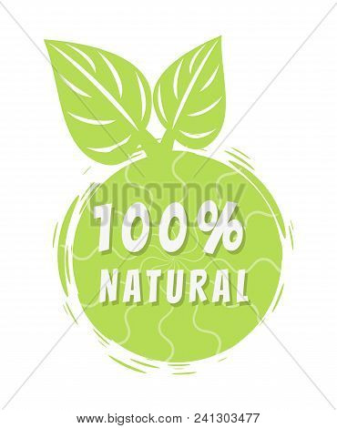 One Hundred Percent Natural Multicolored Banner, Vector Illustration With Green Fruit With Curved Wh