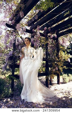 Bride  In Luxurious Wedding Dress And Diadema Posing Among Flowering Wisteria Trees