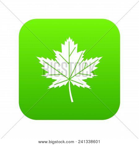 Maple Leaf Icon Digital Green For Any Design Isolated On White Vector Illustration