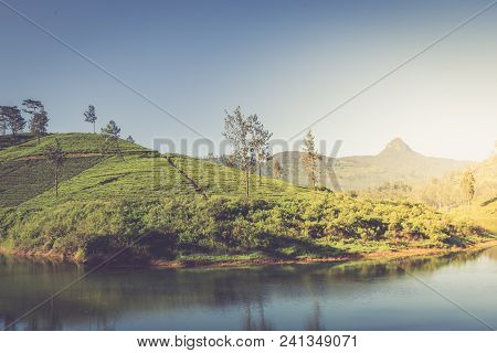Beautiful Landscape Of Sri Lanka. River, Mountains And Tea Plantations