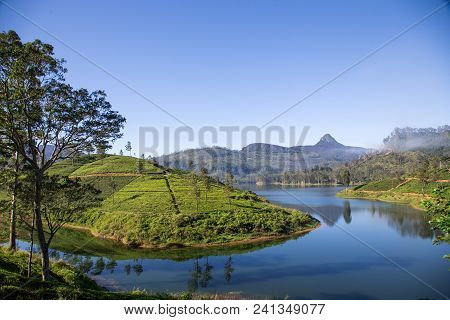 Beautiful Landscape Of Sri Lanka. River, Mountains And Tea Plantations