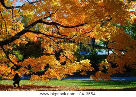 อยู่นอก