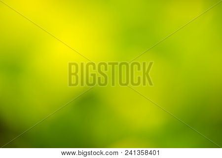 Green Blurred Background And Sunlight