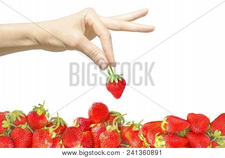 Female Hand Isolated On White Background Holding A Single Berry In Fingers And Bright Red Fresh Stra