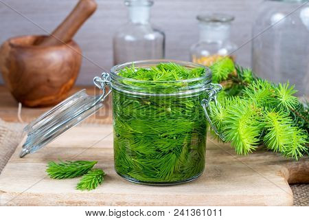 A Jar Filled With Young Spruce Tips And Alcohol, To Prepare Homemade Tincture For Muscle Pain