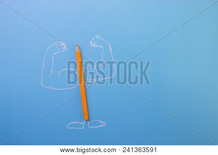 Color Pencil With Musceles