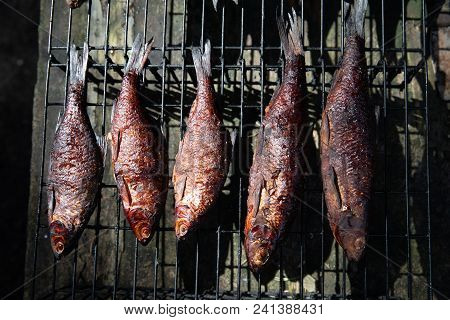 Smoked Fish In The Smoking Room Cooked At The Stake