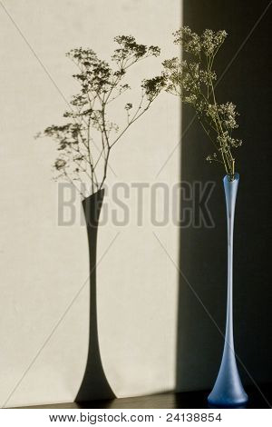 Gypsophila bungeana cam vazo içinde