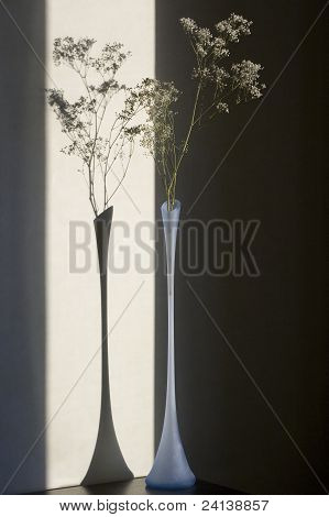 Gypsophila bungeana cam vazo içinde