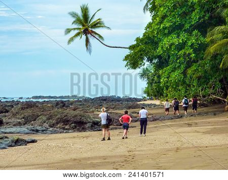 Hiking In Corcovado National Park On The Beach With A Leaning Solitary Palm Tree - Costa Rica.
