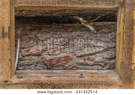 Logs Of Pine Wood Stored In A Rusty Metal Container