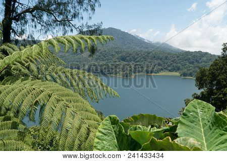 Lake Buyan, Caldera Lake At Bali. Beautiful Lake With Turquoise Water In The Mountains Of The Island