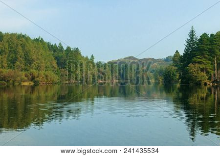 Tarn Hows, English Lake District, Trees, Lake And Distant Mountains