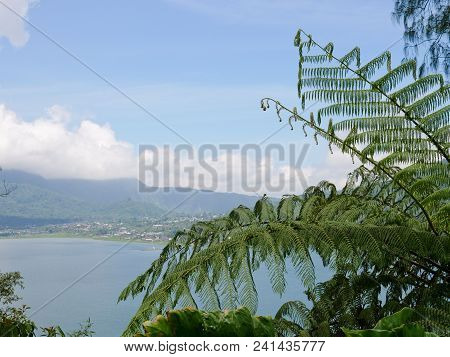 Lake Buyan, Caldera Lake At Bali. Beautiful Lake With Turquoise Water In The Mountains Of The Island