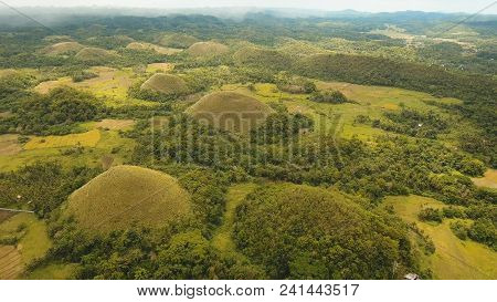 Amazingly Shaped Chocolate Hills On Sunny Day On Bohol Island, Philippines. Aerial View Chocolate Hi