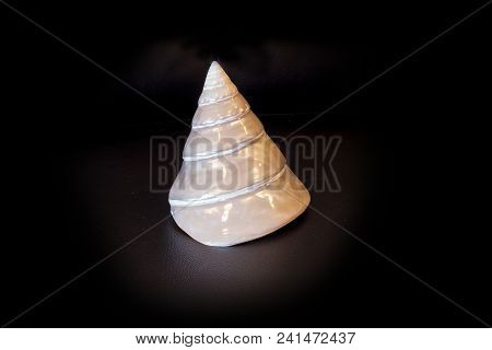 Mother Of Pearl Conical Pyramid Calliostoma Seashell