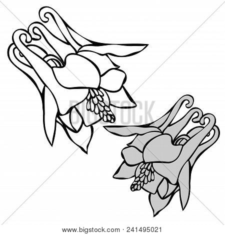 Beautiful Botanical Vector With Flowers Watershed. Black Silhouettes On White Background.