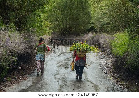 Tibetan People Walking On Rural Road
