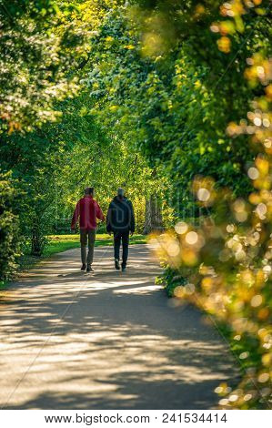 Two Men Waling Along An Alley With Fresh Spring Leaves Glowing In Sinset Light.
