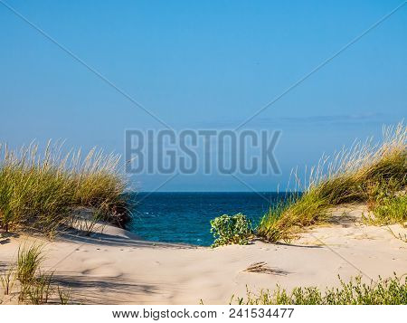 Dune With Beachgrass In Tarifa, Costa De La Luz, Spain, Europe