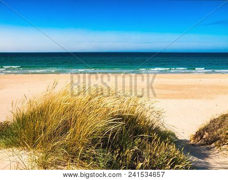 Dune With Beachgrass In Tarifa, Costa De La Luz, Spain, Europe