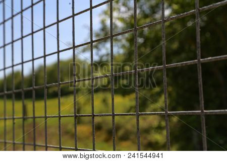 Metal Mesh Fencing / Metal Mesh For Garden