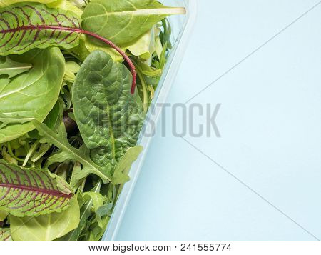 Fresh Spinach Leaves And Green Arugula Salad Rocket, Arugula In Container On Blue Table