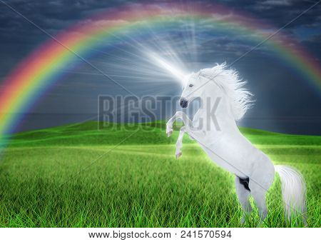 Dazzling White Unicorn Reared On A Green Meadow Against A Of A Stormy Sky Under A Rainbow