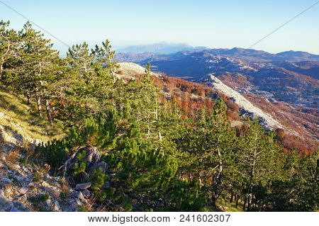 Beautiful Autumn Mountain Landscape With A Green Pine Forest On A Mountain Slope. Dinaric Alps, Mont