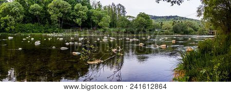 Opir River In The Carpathian National Park Skolevski Beskidy, Lviv Region Of Western Ukraine