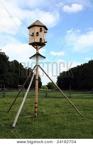 큰 Dovecot