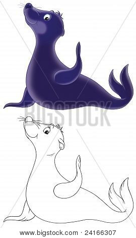 Seal