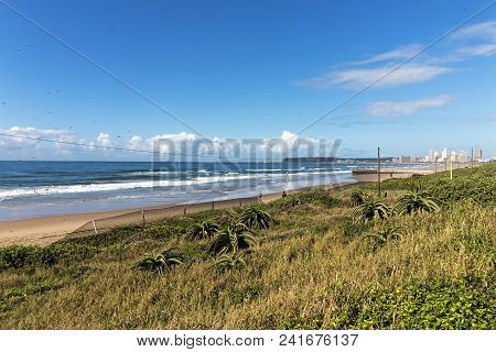 Dune Vegetation Beach Ocean And Blue Cloudy Coastal Skyline