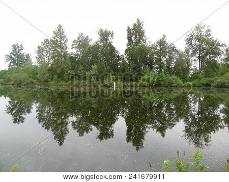 Trees Reflecting Off Pond At Garden Lake Park Taken In Creswell, Or