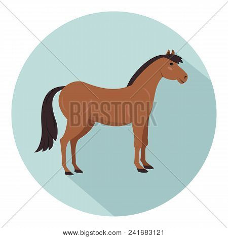 Cute Horse On Blue Background. Vector Illustration.