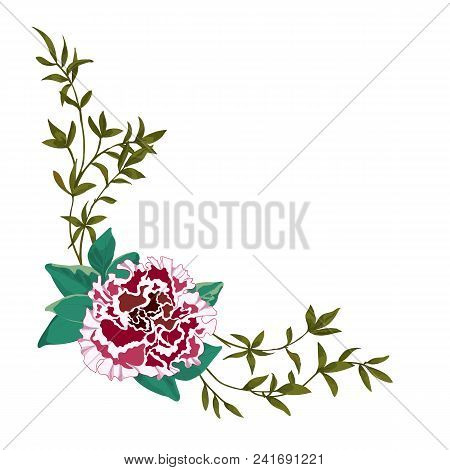 Vector Flower Bouquet, Design Element Isolated On White Background.terry Petunia, Peony And Twigs Wi