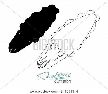 Squid Seafood Isolated Sketch. Sea Animal, European Squid With Pink Tentacles And Mantle. Seafood, F