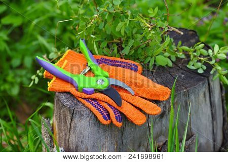 Garden Gloves With A Pruner For Working In The Garden