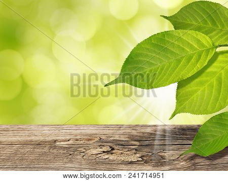 Abstract Summer Spring Eco Nature Bokeh Background With Green Tree Leaves And Vintage Wooden Table S