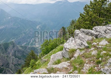 Coniferous Forest Grows On The Slope Of A High Mountain.