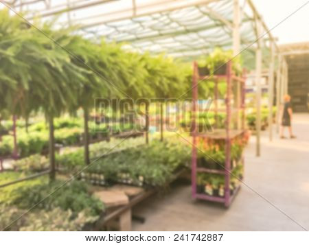 Blurred Plant Nursery, Tool And Equipment At Garden Center In Usa
