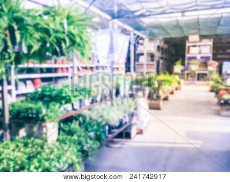 Blurred Plant Nursery, Tool And Equipment At Garden Center In Usa