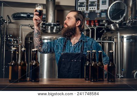 Portrait Of Tattooed, Bearded Hipster Male Manufacturer Tasting Beer In The Microbrewery.