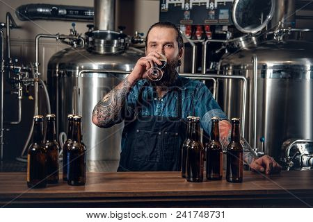 Portrait Of Tattooed, Bearded Hipster Male Manufacturer Tasting Beer In The Microbrewery.