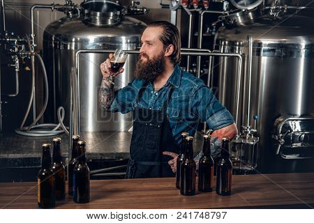 Portrait Of Tattooed, Bearded Hipster Male Manufacturer Tasting Beer In The Microbrewery.